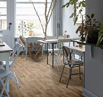 IVC Vision Tavel T48 фото 2 | FLOORDEALER